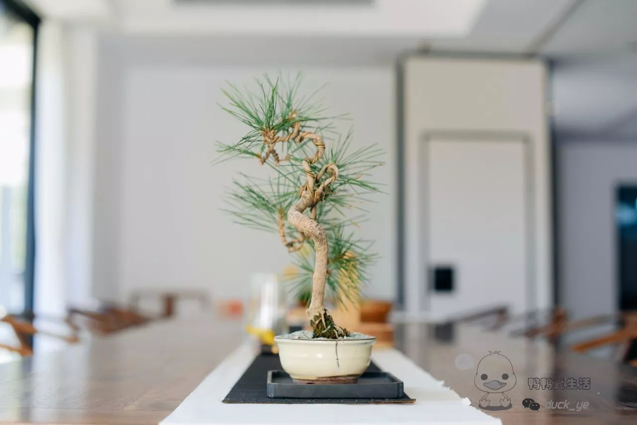 十大外围足球大平台