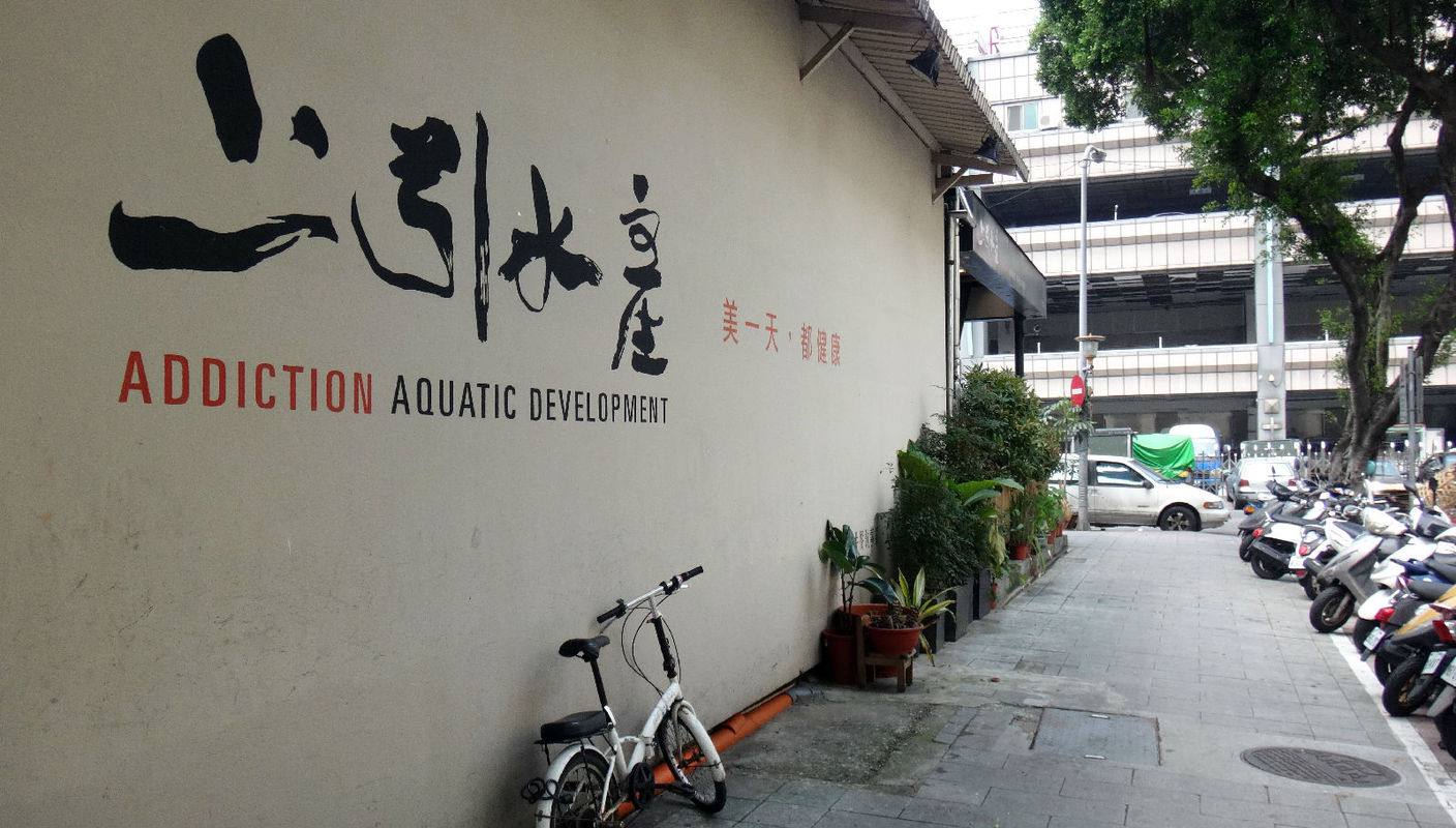 十大外围足球大平台