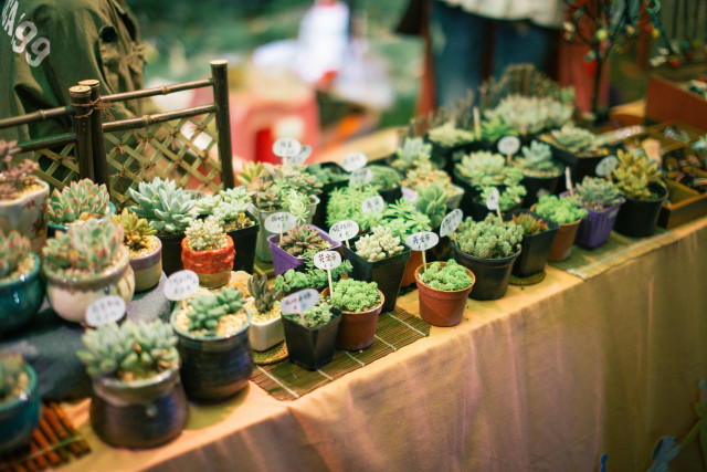 十大外围足球平台app手机版