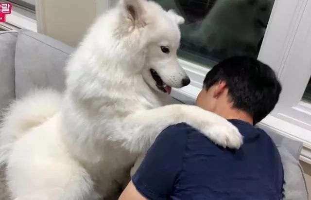 【十大外围足球大平台】那一片碎瓷片(图3) 十大外围足球大平台