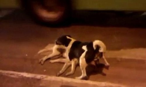 十大外围足球大平台