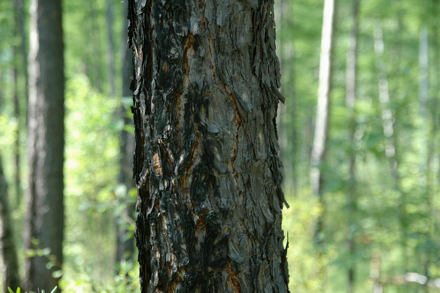 十大外围足球平台app