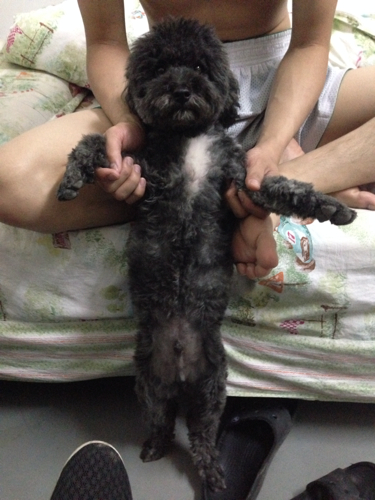 十大外围足球大平台