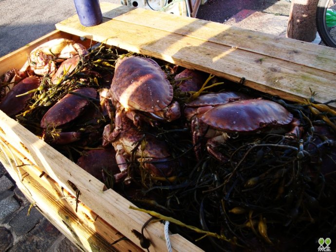 十大外围足球大平台