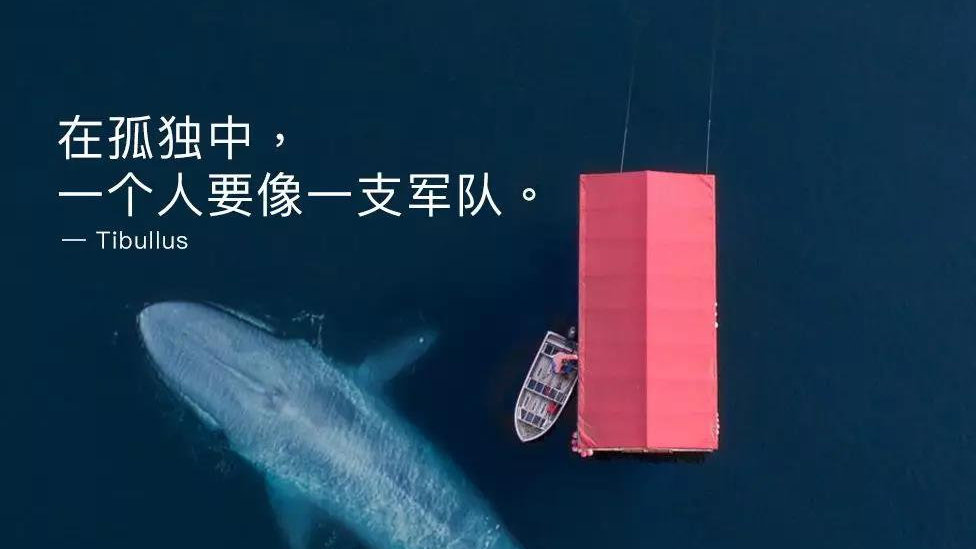 往左还是向右:十大外围足球大平台(图3) 十大外围足球大平台