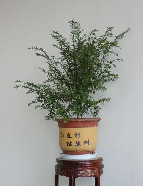 时光易逝,把握青春‘十大外围足球平台app手机版’(图2) 十大外围足球平台app