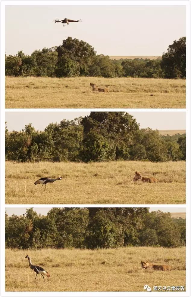 十大外围足球平台app手机版