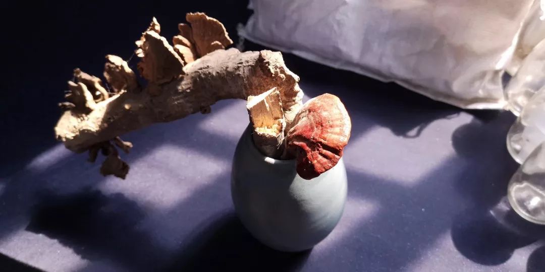 十大外围足球大平台