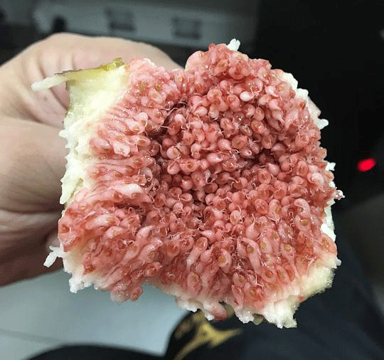 十大外围足球大平台